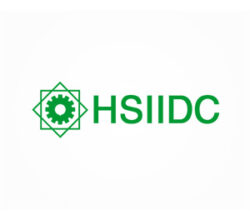 1000 Mtr Industrial Plot for Sale HSIIDC Sector 16 Bahadurgarh